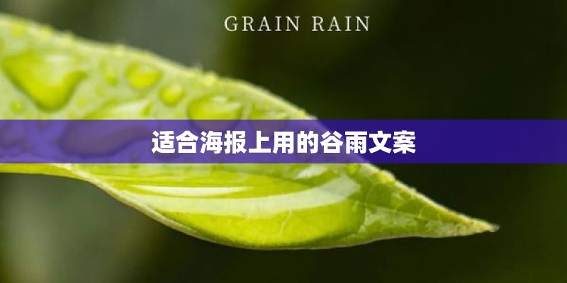 适合海报上用的谷雨文案