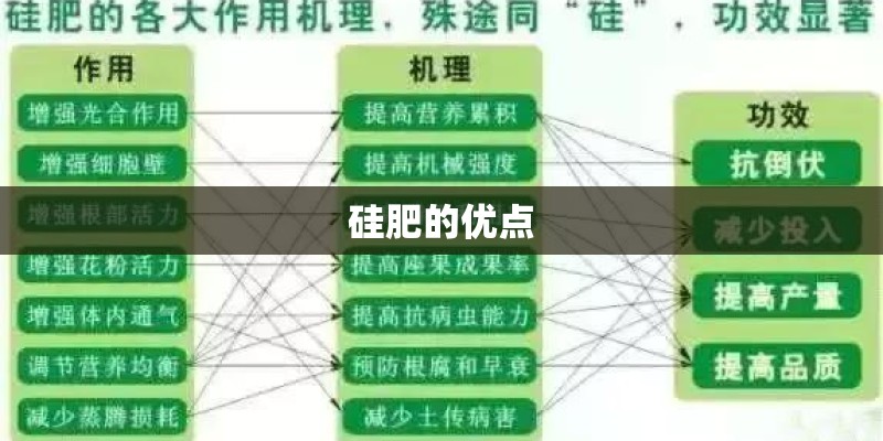 硅肥的优点