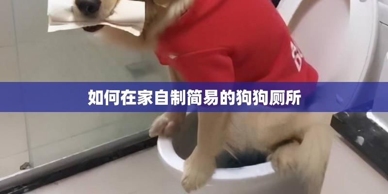 如何在家自制简易的狗狗厕所