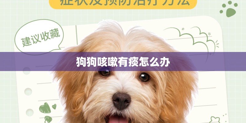 狗狗咳嗽有痰怎么办
