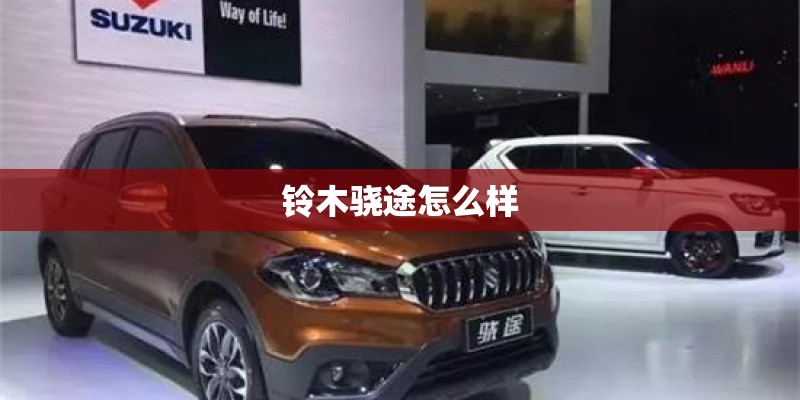 铃木骁途怎么样