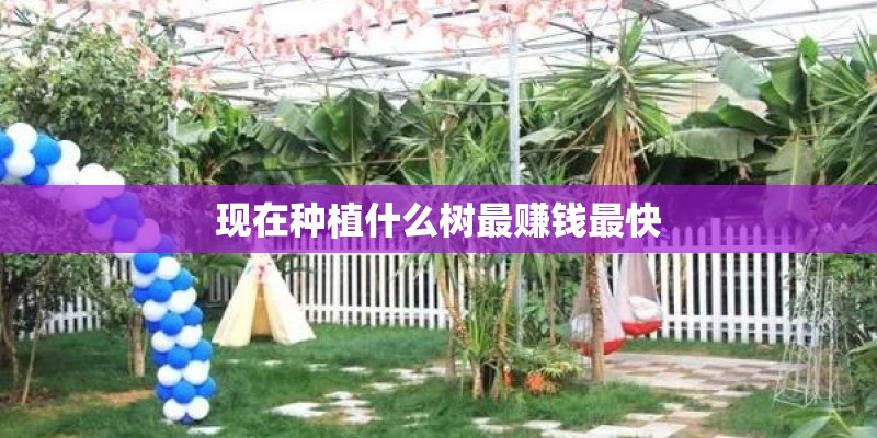 现在种植什么树最赚钱最快