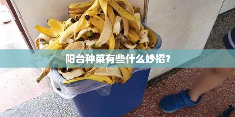 阳台种菜有些什么妙招？