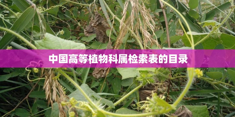 中国高等植物科属检索表的目录