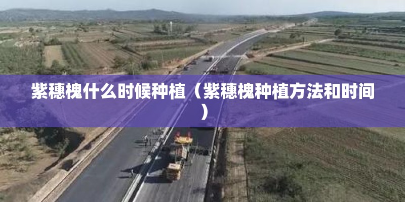 紫穗槐什么时候种植（紫穗槐种植方法和时间）