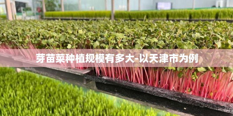 芽苗菜种植规模有多大-以天津市为例