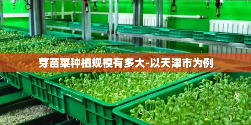 芽苗菜种植规模有多大-以天津市为例