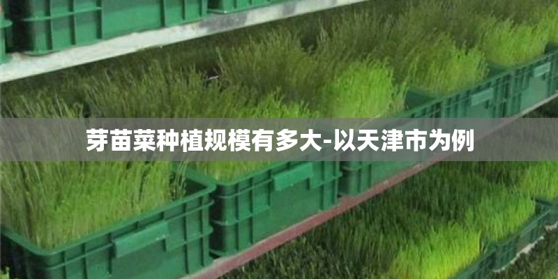 芽苗菜种植规模有多大-以天津市为例