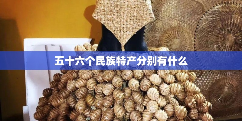 五十六个民族特产分别有什么