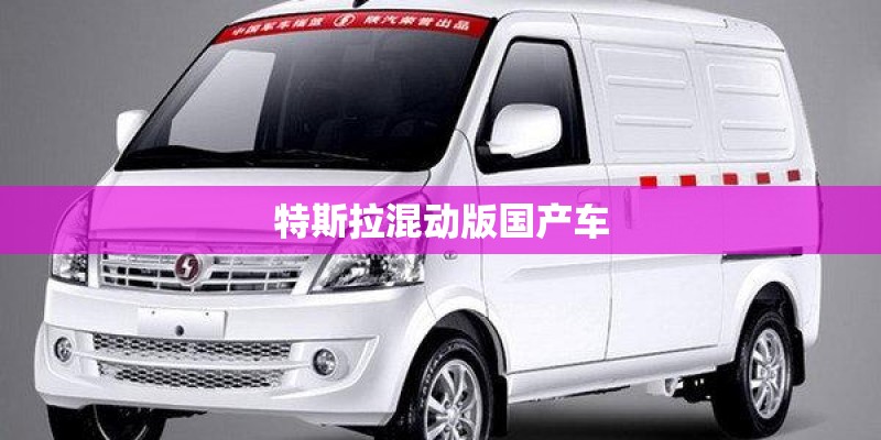 特斯拉混动版国产车