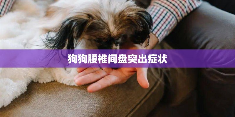 狗狗腰椎间盘突出症状