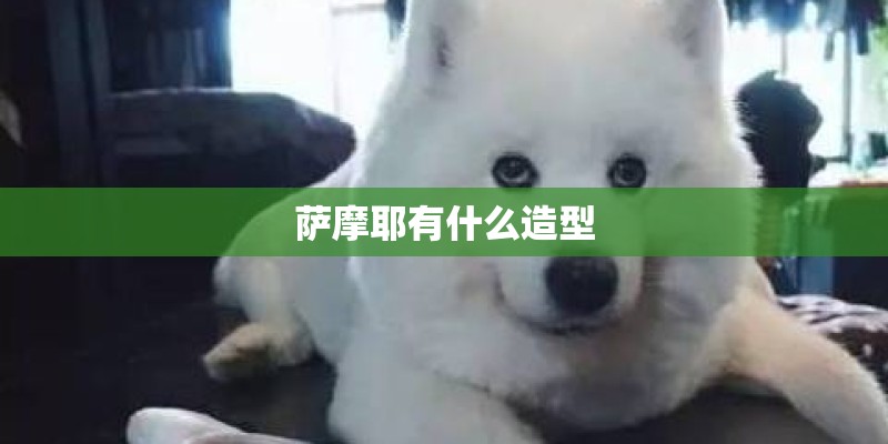 萨摩耶有什么造型 萨摩耶有什么造型