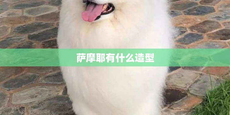 萨摩耶有什么造型 萨摩耶有什么造型