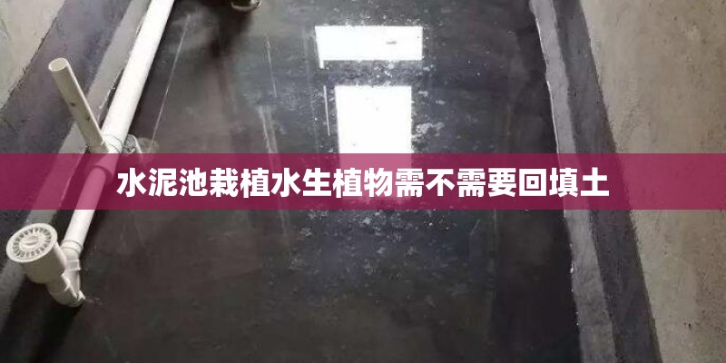 水泥池栽植水生植物需不需要回填土