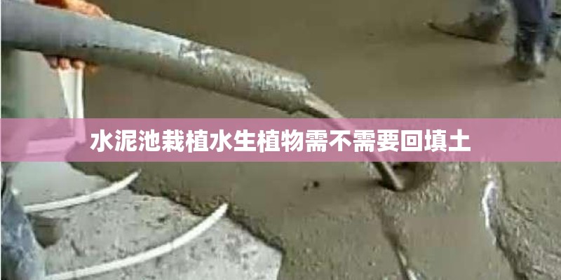 水泥池栽植水生植物需不需要回填土