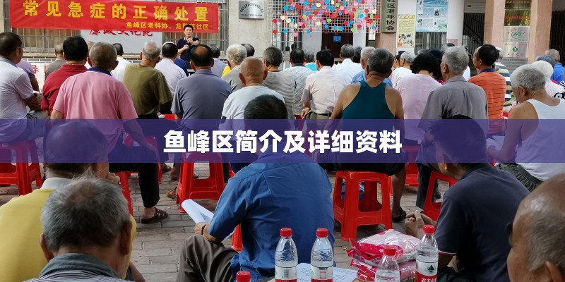 鱼峰区简介及详细资料