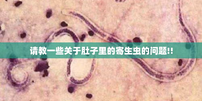 请教一些关于肚子里的寄生虫的问题!!