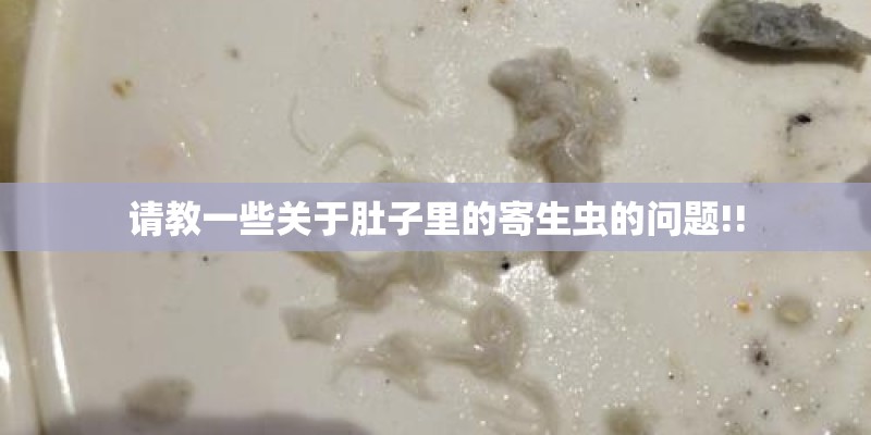 请教一些关于肚子里的寄生虫的问题!!