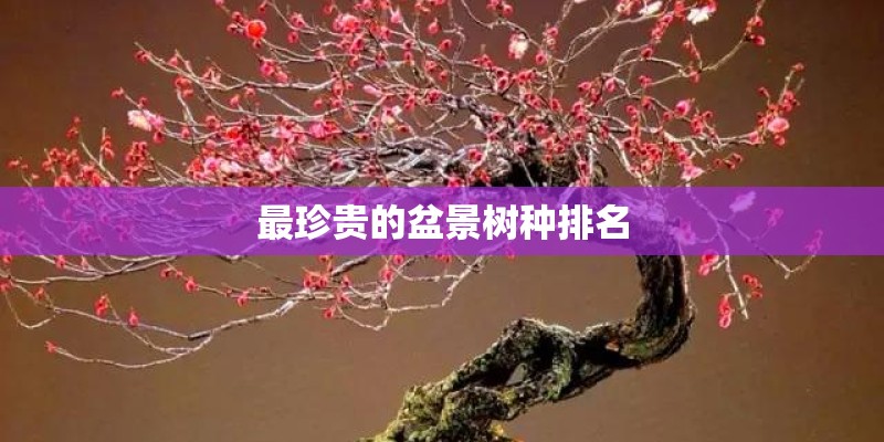最珍贵的盆景树种排名