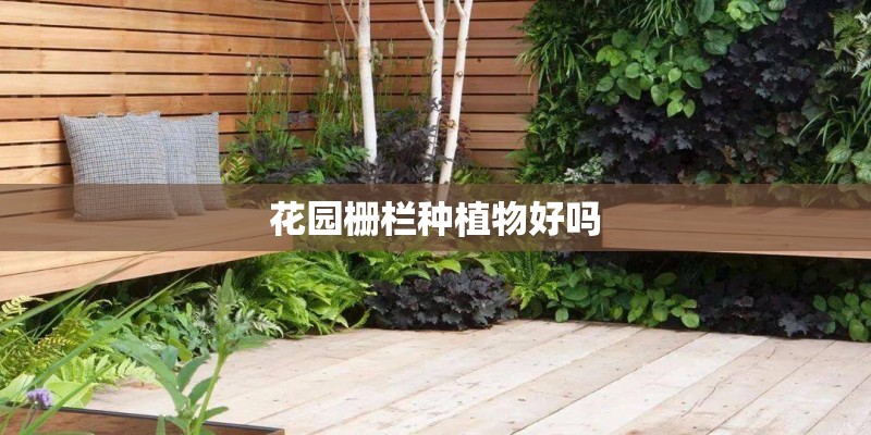 花园栅栏种植物好吗