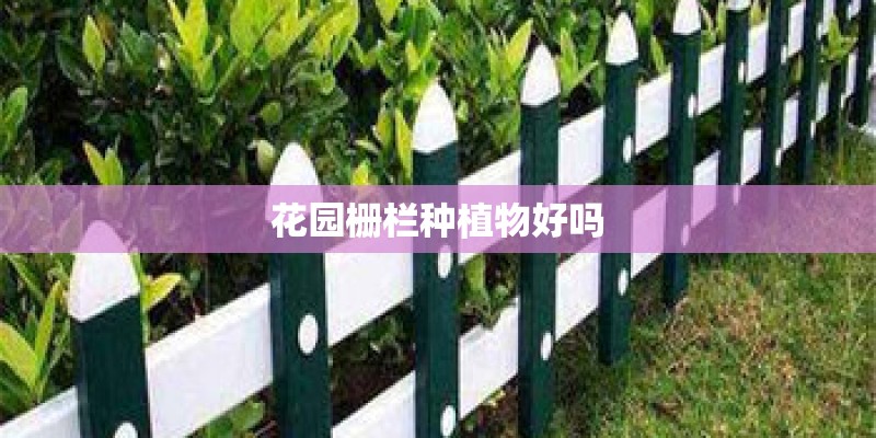 花园栅栏种植物好吗