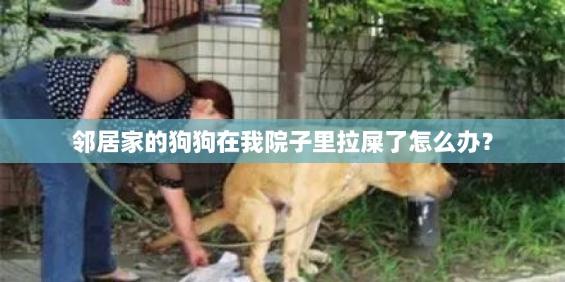 邻居家的狗狗在我院子里拉屎了怎么办? 邻居家的狗狗在我院子里拉屎了怎么办?