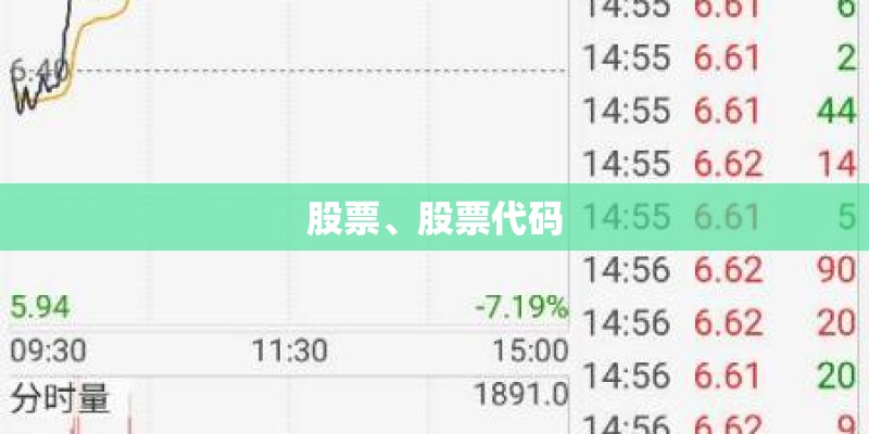 股票、股票代码