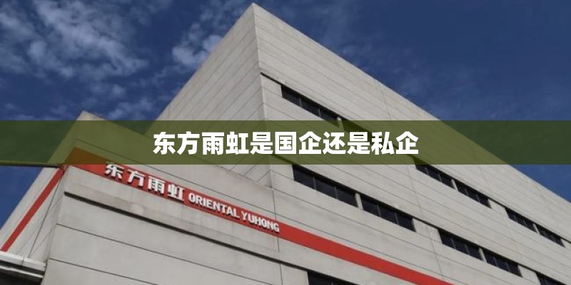 东方雨虹是国企还是私企