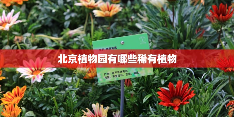 北京植物园有哪些稀有植物