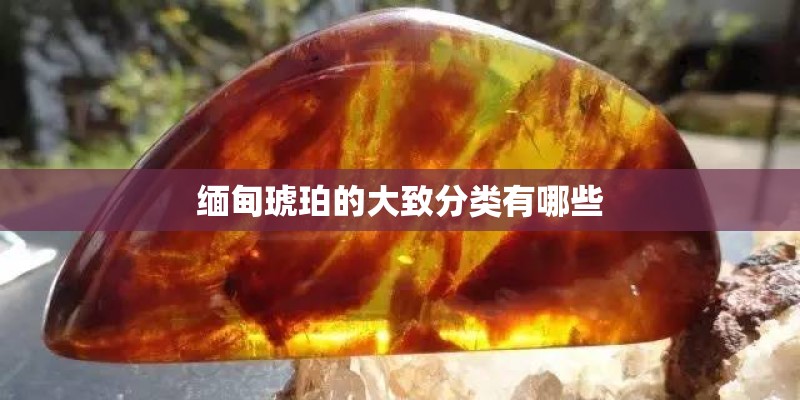 缅甸琥珀的大致分类有哪些