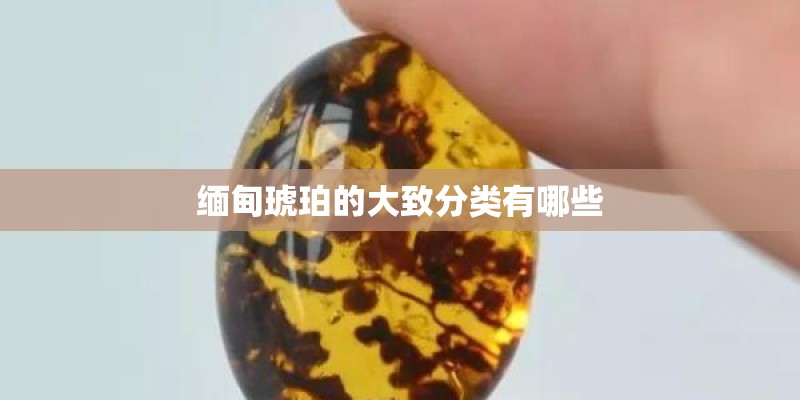 缅甸琥珀的大致分类有哪些