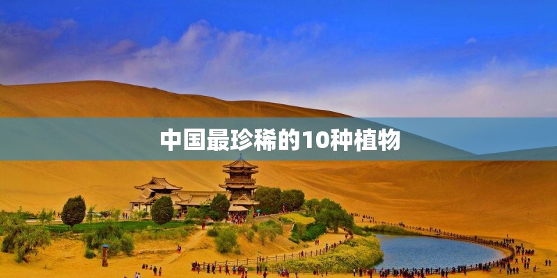 中国最珍稀的10种植物