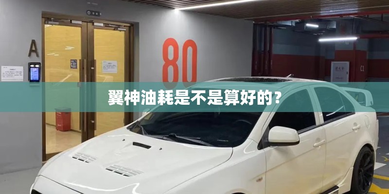 翼神油耗是不是算好的？