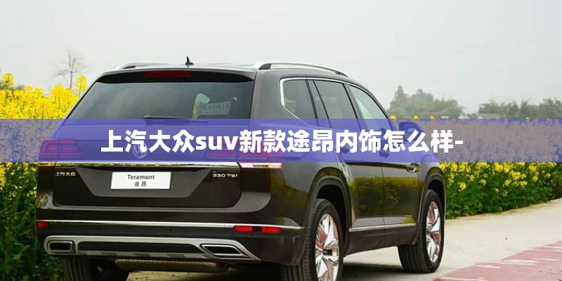上汽大众suv新款途昂内饰怎么样-