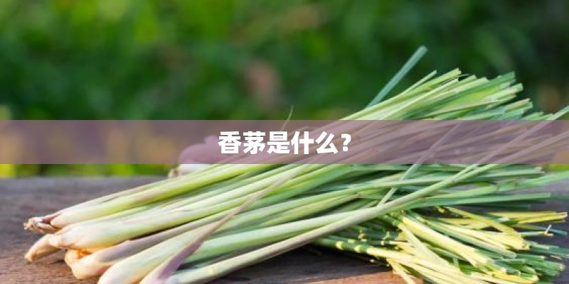 香茅是什么? 香茅是什么?