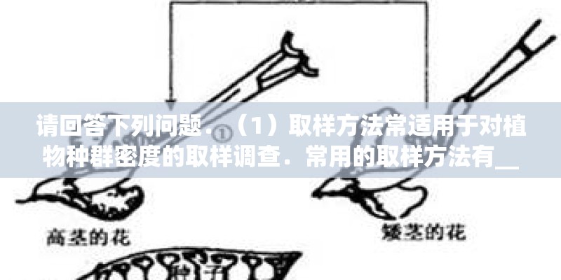 请回答下列问题．（1）取样方法常适用于对植物种群密度的取样调查．常用的取样方法有______和______．某