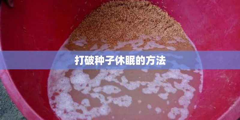 打破种子休眠的方法