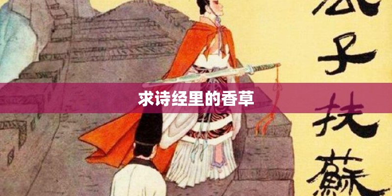 求诗经里的香草 求诗经里的香草