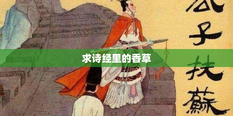 求诗经里的香草