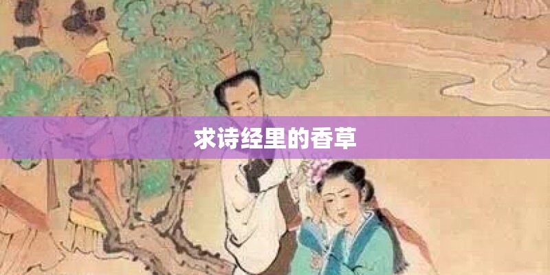 求诗经里的香草 求诗经里的香草