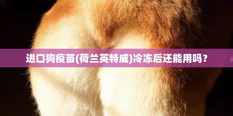 进口狗疫苗(荷兰英特威)冷冻后还能用吗? 进口狗疫苗(荷兰英特威)冷冻后还能用吗?
