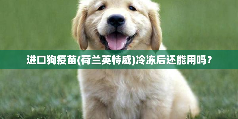 进口狗疫苗(荷兰英特威)冷冻后还能用吗? 进口狗疫苗(荷兰英特威)冷冻后还能用吗?