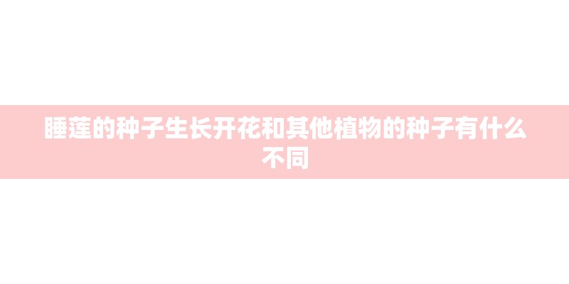睡莲的种子生长开花和其他植物的种子有什么不同 睡莲的种子生长开花和其他植物的种子有什么不同