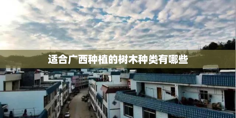 适合广西种植的树木种类有哪些