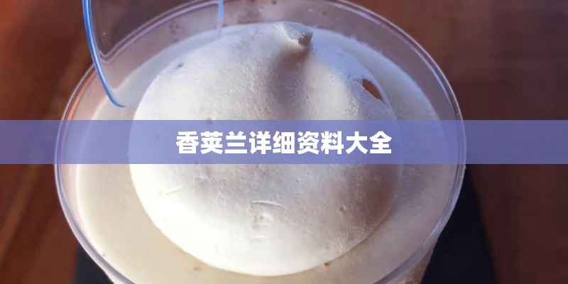 香荚兰详细资料大全