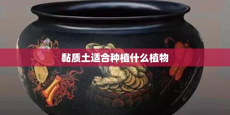黏质土适合种植什么植物