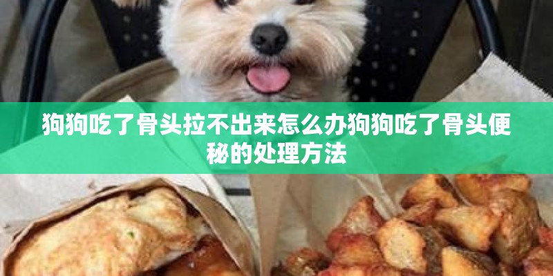 狗狗吃了骨头拉不出来怎么办狗狗吃了骨头便秘的处理方法 狗狗吃了骨头拉不出来怎么办狗狗吃了骨头便秘的处理方法