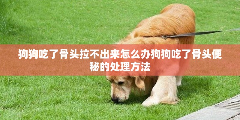 狗狗吃了骨头拉不出来怎么办狗狗吃了骨头便秘的处理方法 狗狗吃了骨头拉不出来怎么办狗狗吃了骨头便秘的处理方法