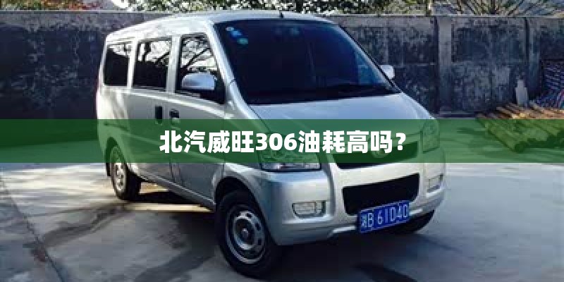 北汽威旺306油耗高吗？