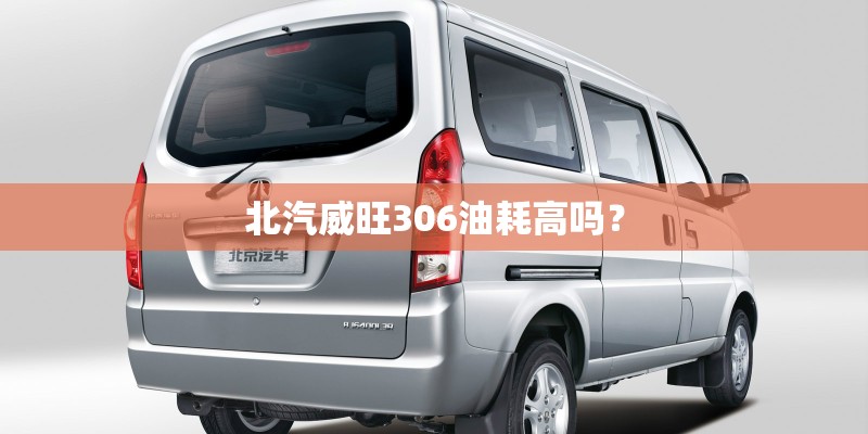 北汽威旺306油耗高吗？